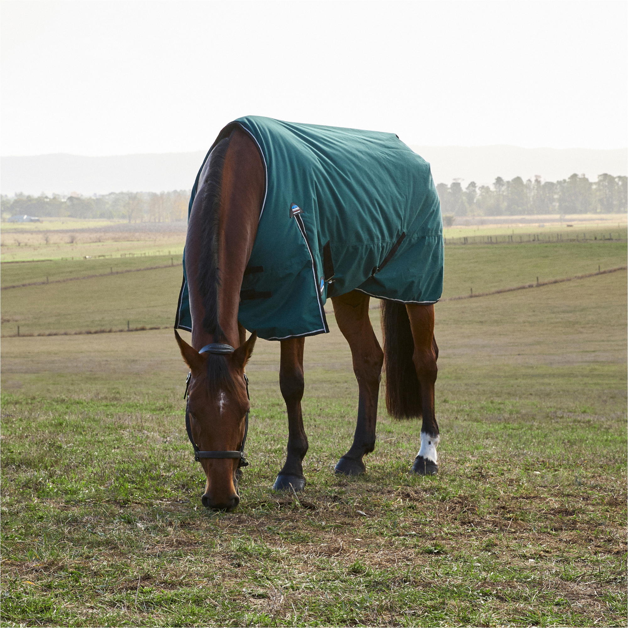 2025 WeatherBeeta Comfitec Classic Turnout 1029070 - Forest Green